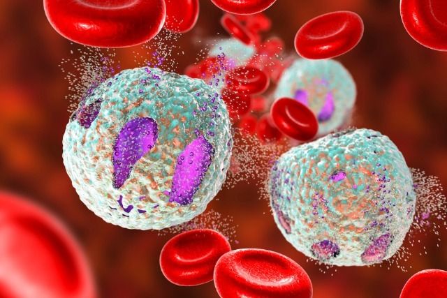 Immuno Therapy Treatment in Baraut , Bagpat & Shamli